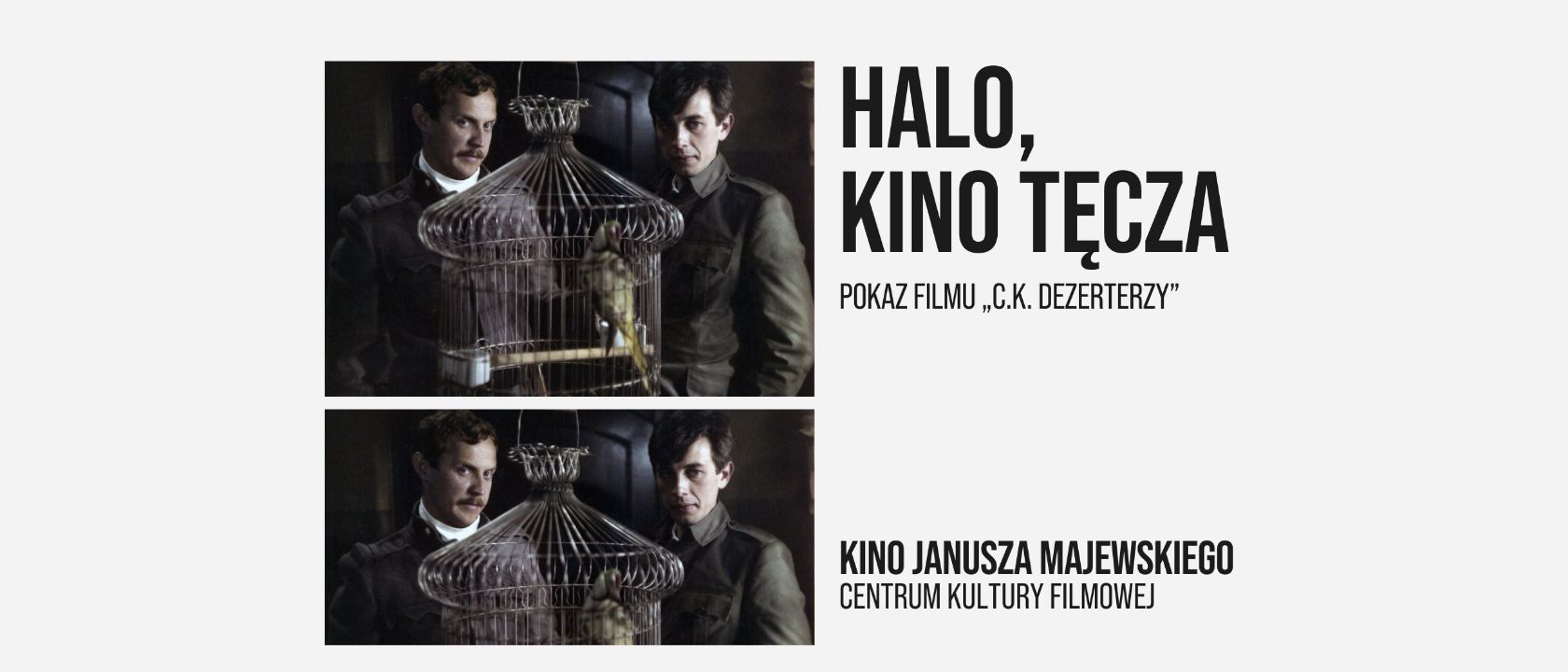 Halo, Kino Tęcza