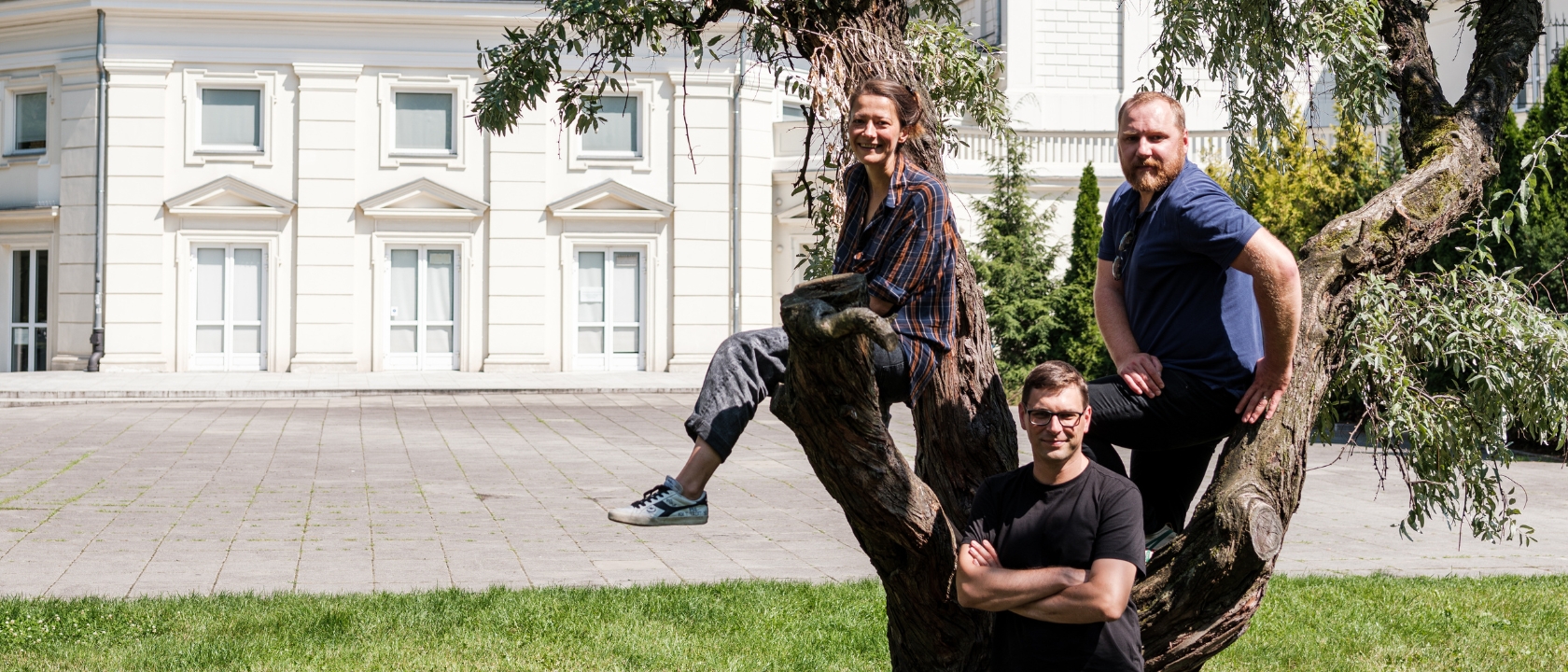 zdjęcie trzech osób siedzących na drzewie, lato